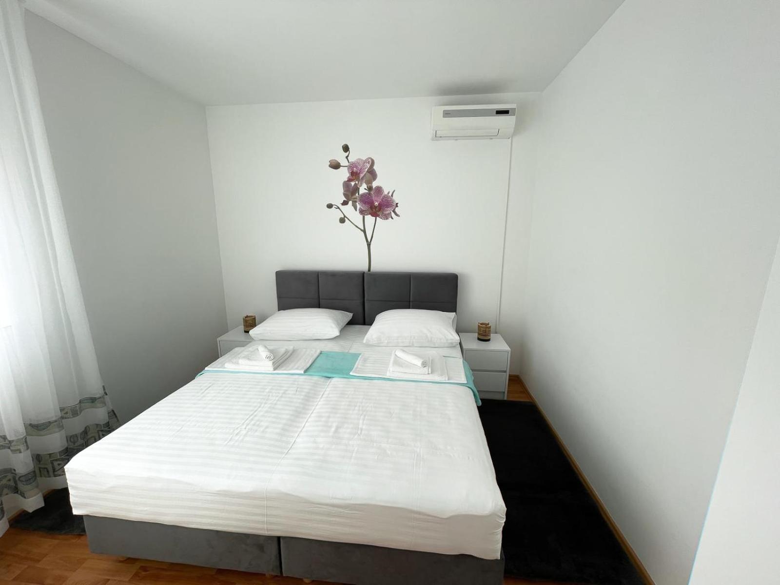 Apartmani Tatjana 노바야 외부 사진